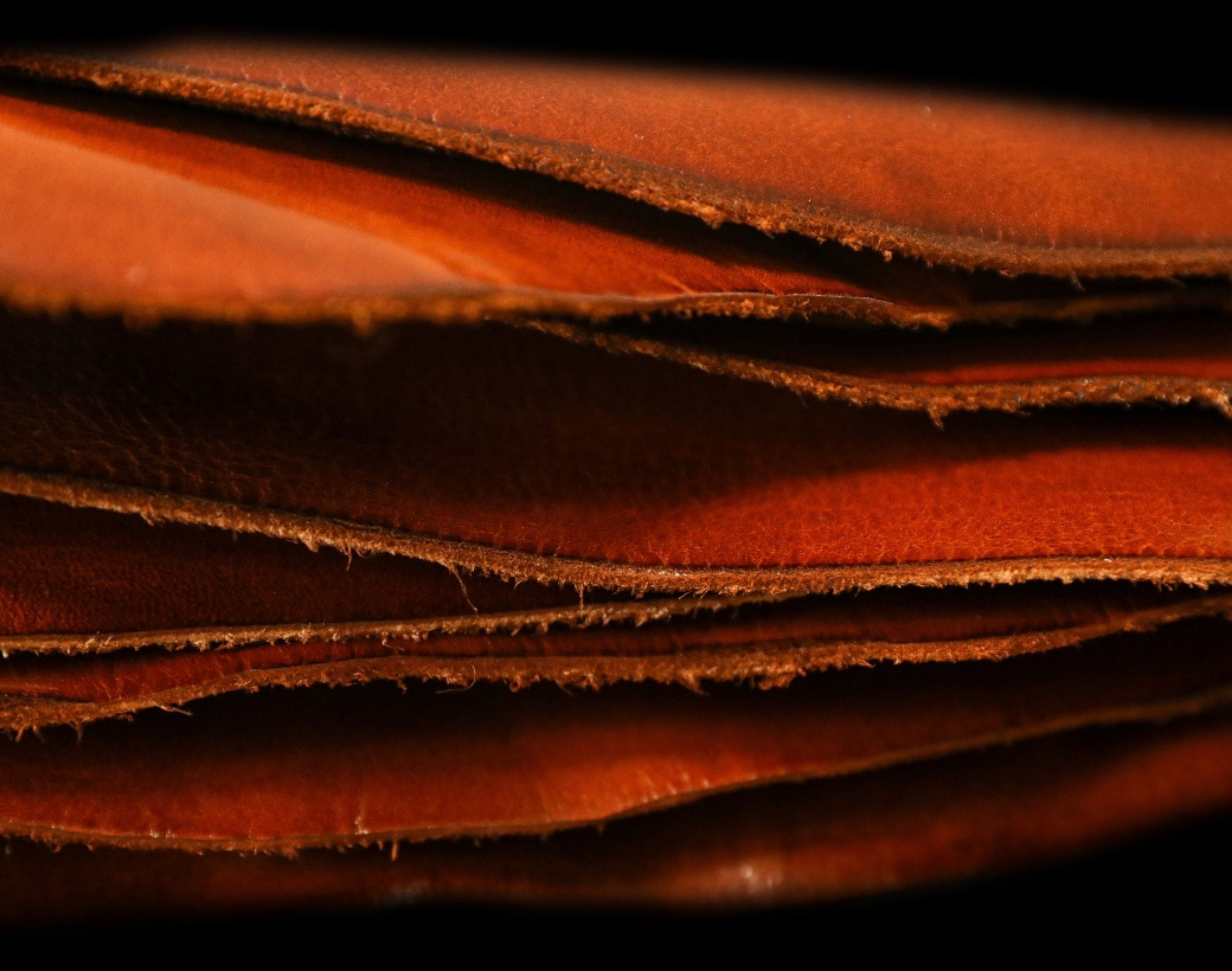 Cut pieces of full-grain leather