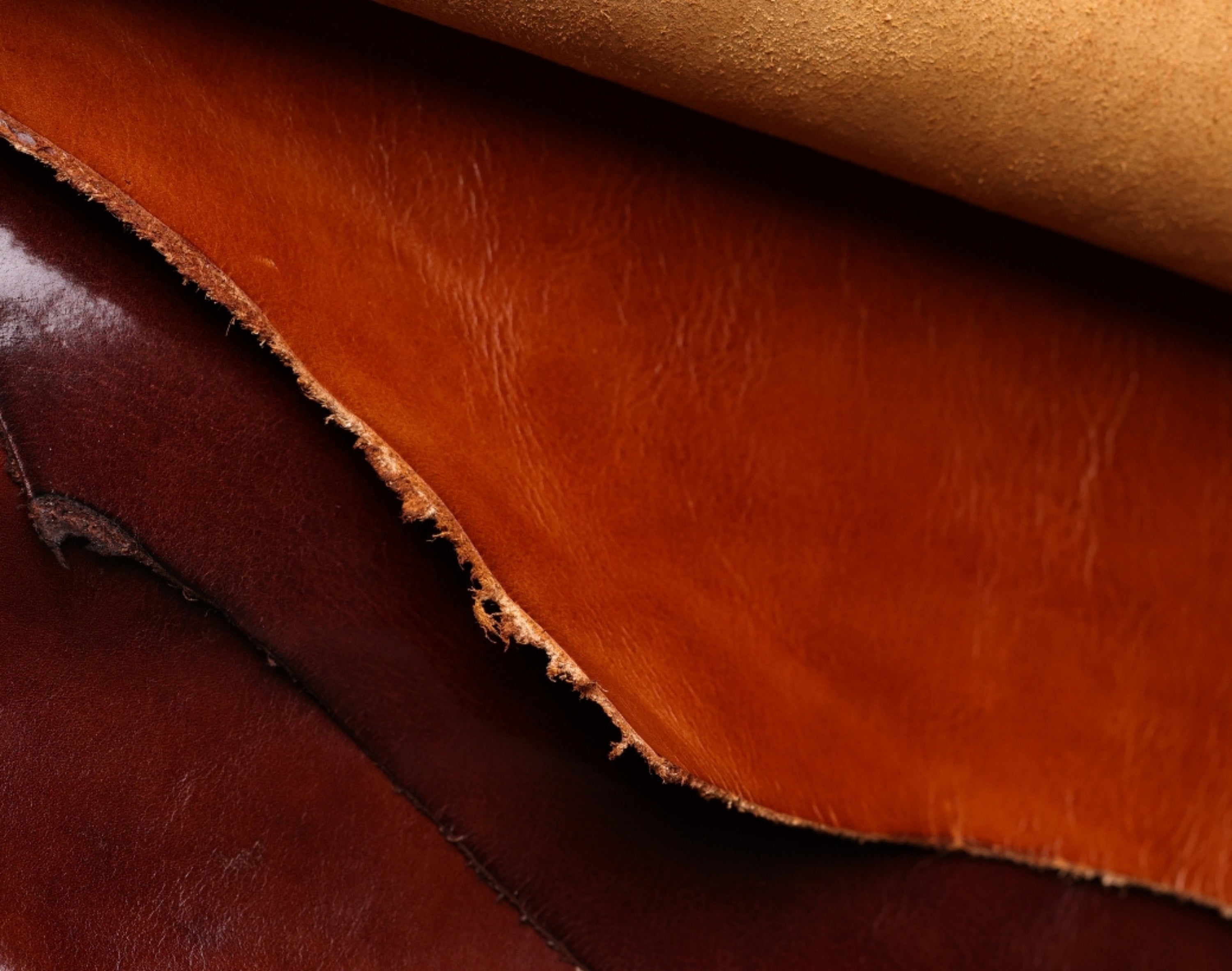Rolls of full-grain leather in different colors