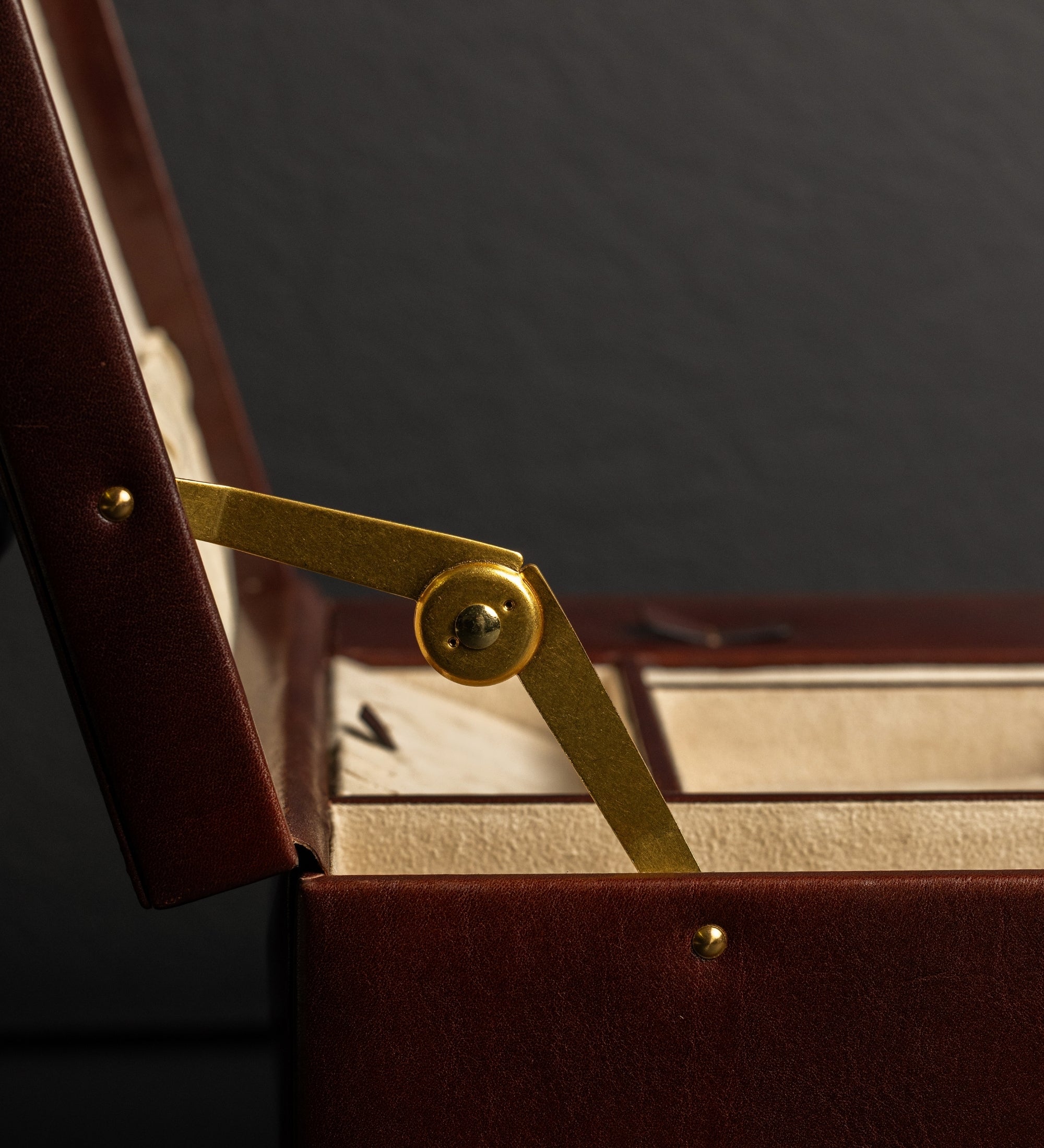 Large Leather Jewelry Box for Women - The Portrait of a Lady