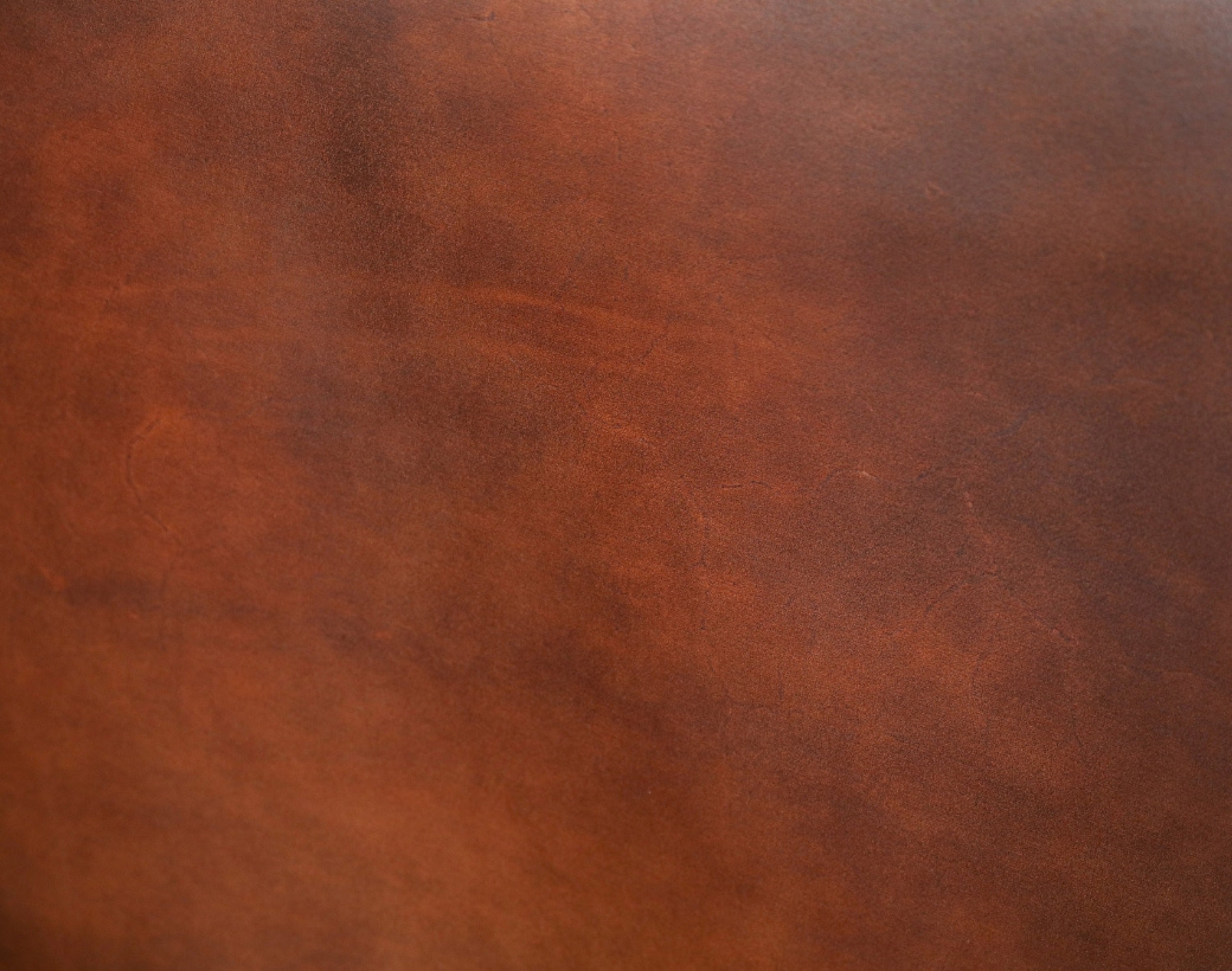 Full-grain leather surface with visible natural marks